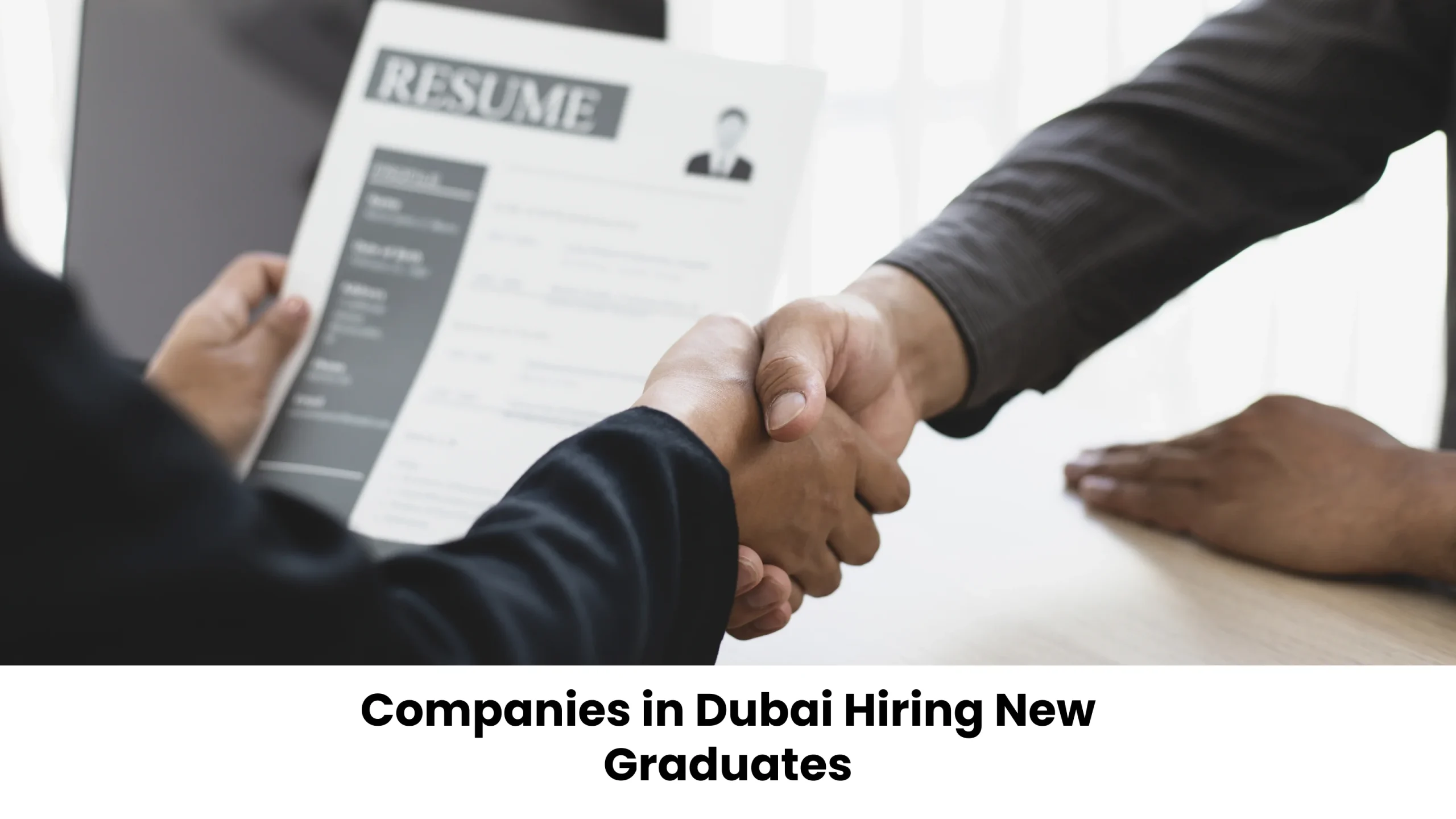 Companies in Dubai Hiring Freshmen